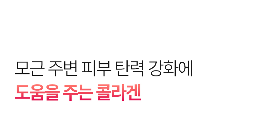 콜라겐 설명 이미지