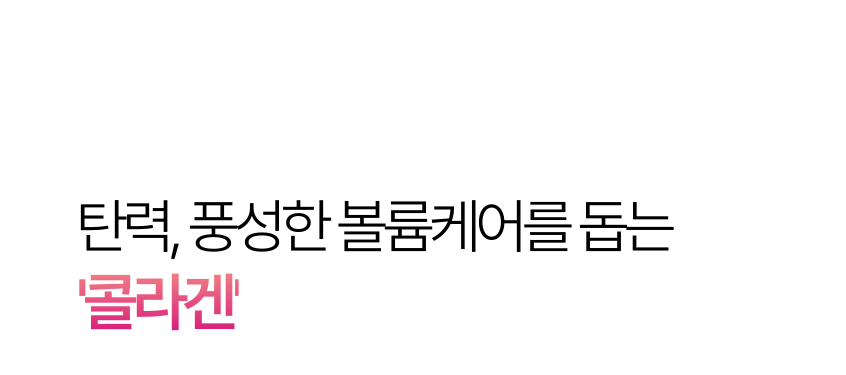 콜라겐 설명 이미지